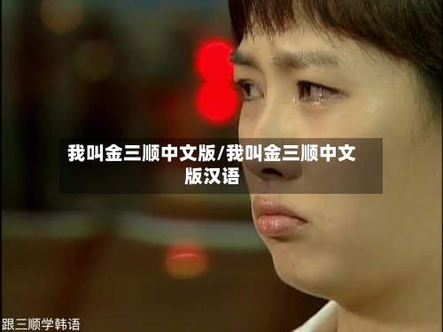 我叫金三顺中文版/我叫金三顺中文版汉语