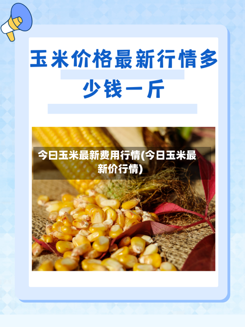 今曰玉米最新费用行情(今日玉米最新价行情)-第1张图片