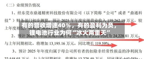 有的营收增速40％，有的盈利为负，锂电池行业为何“冰火两重天	”-第2张图片