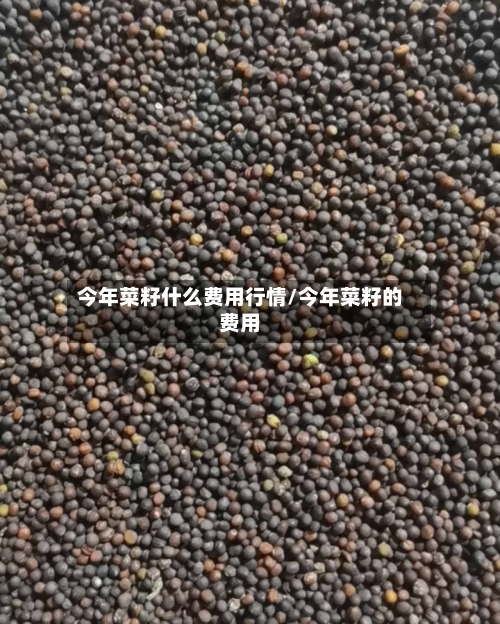今年菜籽什么费用行情/今年菜籽的费用