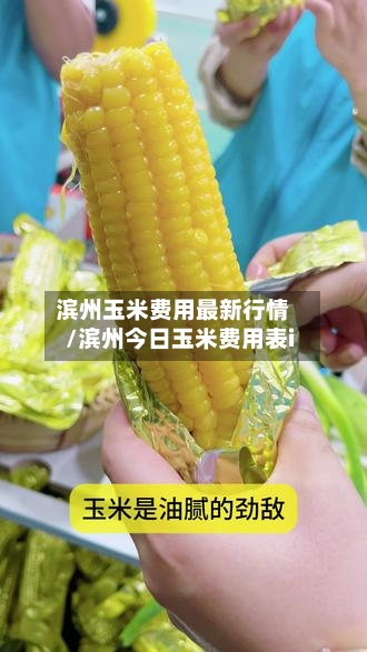 滨州玉米费用最新行情/滨州今日玉米费用表i-第3张图片