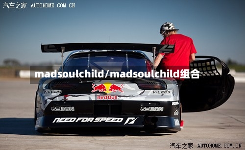 madsoulchild/madsoulchild组合