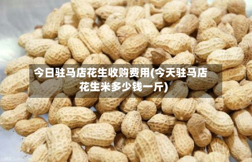 今日驻马店花生收购费用(今天驻马店花生米多少钱一斤)-第3张图片