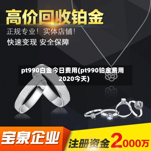 pt990白金今日费用(pt990铂金费用2020今天)-第2张图片