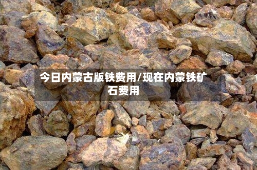 今日内蒙古版铁费用/现在内蒙铁矿石费用