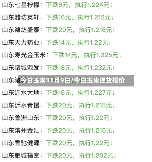 今日玉米11月9日/今日玉米现货报价