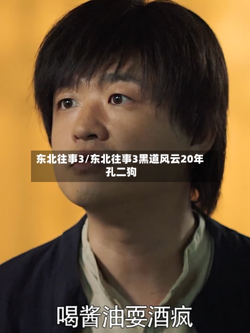 东北往事3/东北往事3黑道风云20年 孔二狗