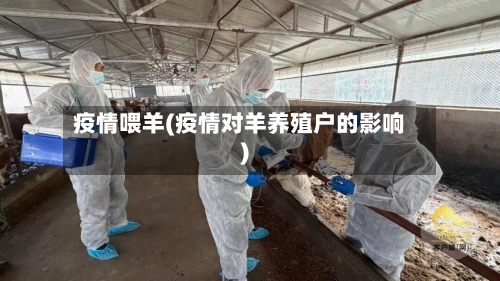 疫情喂羊(疫情对羊养殖户的影响)