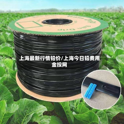 上海最新行情铅价/上海今日铅费用金投网