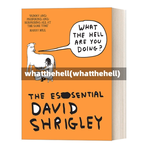 whatthehell(whatthehell)-第2张图片