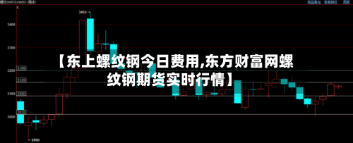 【东上螺纹钢今日费用,东方财富网螺纹钢期货实时行情】-第1张图片