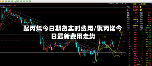 聚丙烯今日期货实时费用/聚丙烯今日最新费用走势-第1张图片