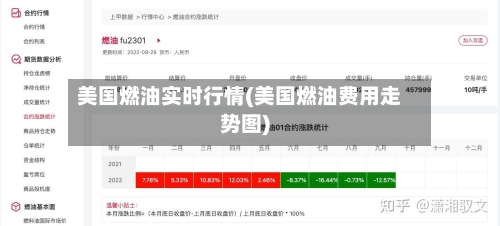 美国燃油实时行情(美国燃油费用走势图)-第1张图片
