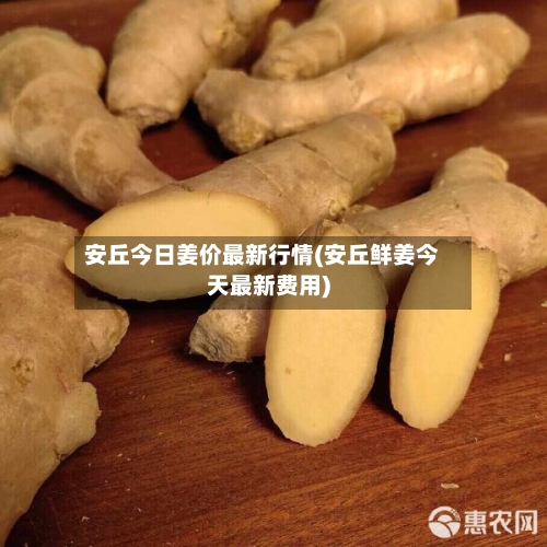 安丘今日姜价最新行情(安丘鲜姜今天最新费用)-第1张图片