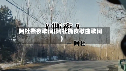 阿杜撕夜歌词(阿杜撕夜歌曲歌词)-第2张图片