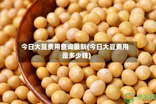 今日大豆费用查询最新(今日大豆费用是多少钱)-第1张图片