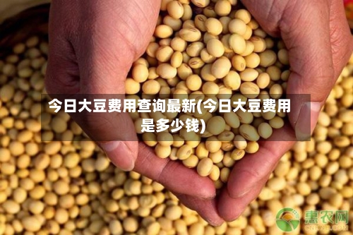 今日大豆费用查询最新(今日大豆费用是多少钱)-第2张图片