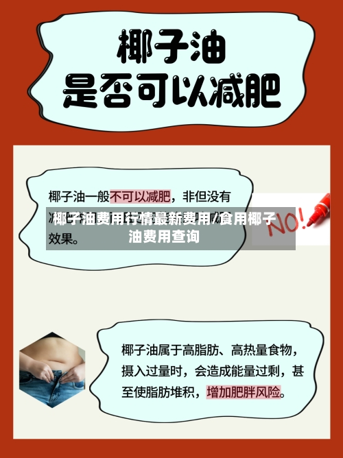 椰子油费用行情最新费用/食用椰子油费用查询-第1张图片