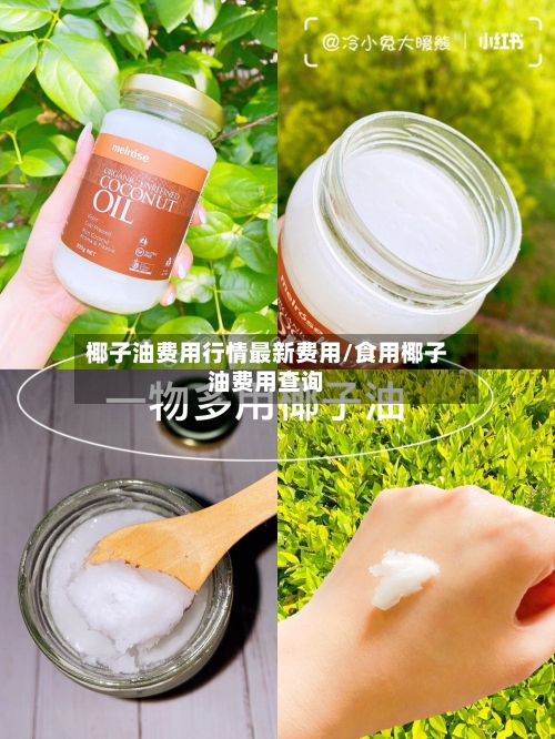 椰子油费用行情最新费用/食用椰子油费用查询-第3张图片