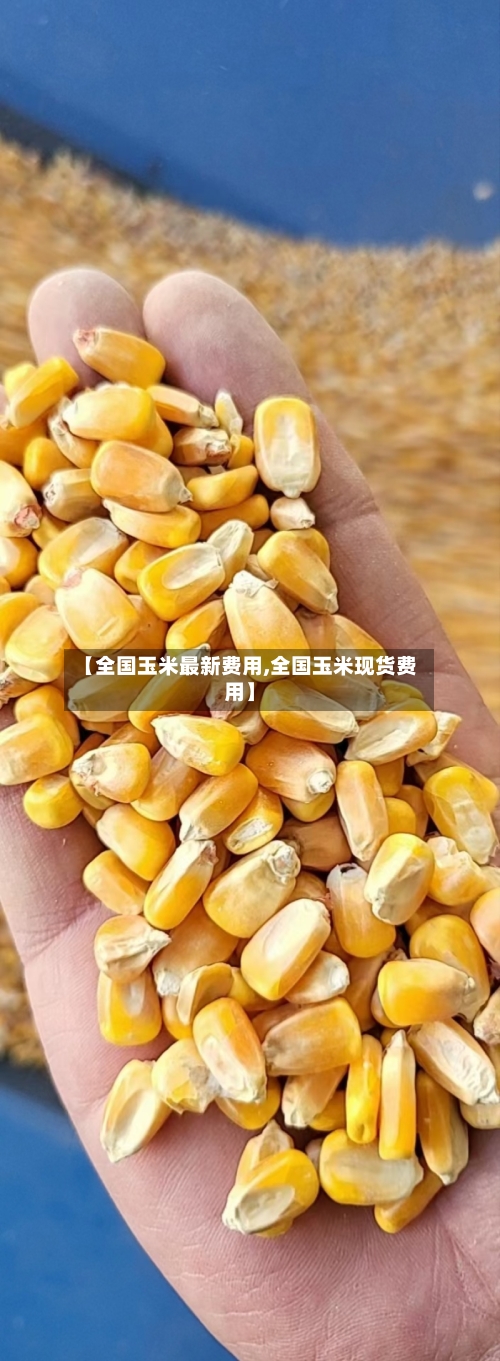 【全国玉米最新费用,全国玉米现货费用】-第1张图片