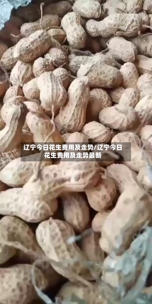 辽宁今日花生费用及走势/辽宁今日花生费用及走势最新-第2张图片