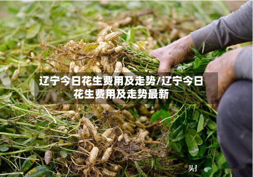 辽宁今日花生费用及走势/辽宁今日花生费用及走势最新-第1张图片
