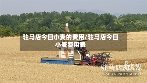 驻马店今日小麦的费用/驻马店今日小麦费用表-第1张图片