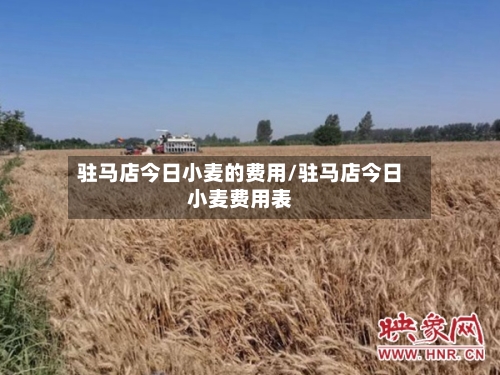 驻马店今日小麦的费用/驻马店今日小麦费用表-第2张图片