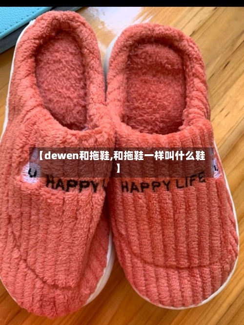 【dewen和拖鞋,和拖鞋一样叫什么鞋】-第3张图片