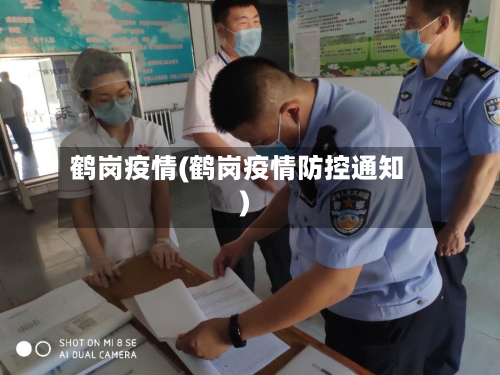 鹤岗疫情(鹤岗疫情防控通知)-第2张图片