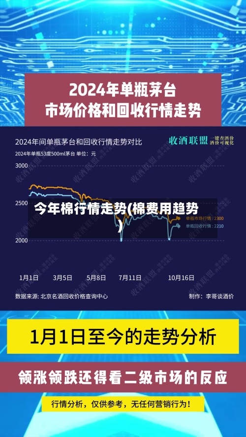 今年棉行情走势(棉费用趋势)-第1张图片