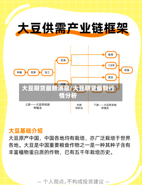 大豆期货最新消息/大豆期货最新行情分析-第1张图片