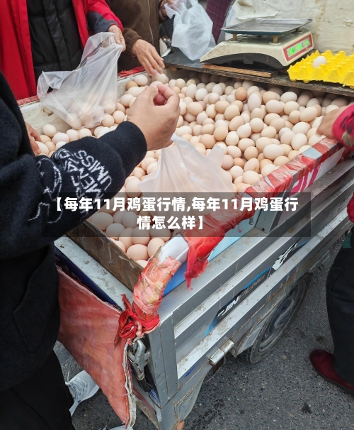 【每年11月鸡蛋行情,每年11月鸡蛋行情怎么样】-第1张图片