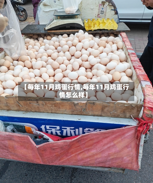 【每年11月鸡蛋行情,每年11月鸡蛋行情怎么样】-第3张图片