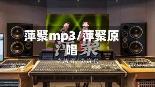 萍聚mp3/萍聚原唱-第1张图片