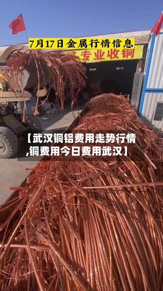 【武汉铜铝费用走势行情,铜费用今日费用武汉】-第3张图片