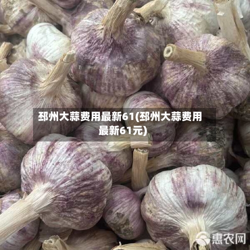 邳州大蒜费用最新61(邳州大蒜费用最新61元)-第2张图片