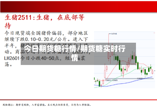 今日期货糖行情/期货糖实时行情-第2张图片