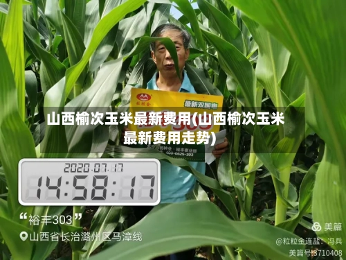 山西榆次玉米最新费用(山西榆次玉米最新费用走势)-第2张图片