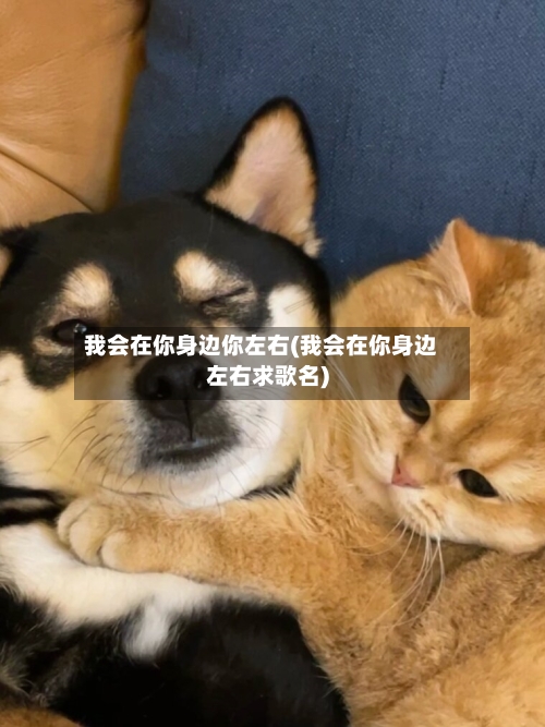 我会在你身边你左右(我会在你身边左右求歌名)-第1张图片