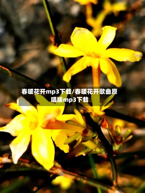 春暖花开mp3下载/春暖花开歌曲原唱版mp3下载-第1张图片