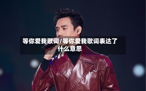 等你爱我歌词/等你爱我歌词表达了什么意思-第2张图片