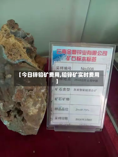 【今日锌铅矿费用,铅锌矿实时费用】-第1张图片