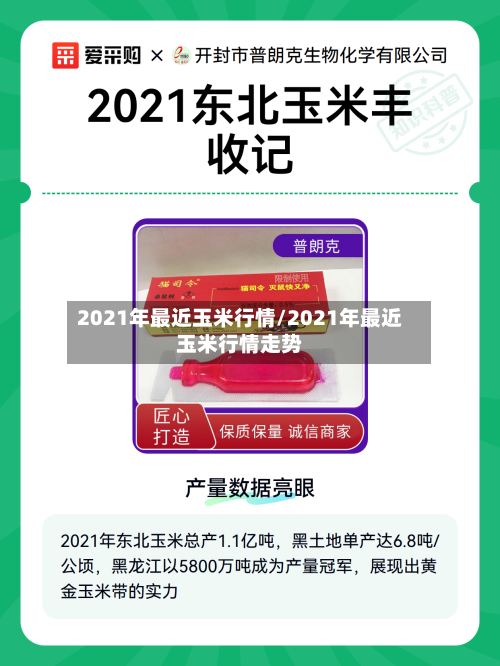 2021年最近玉米行情/2021年最近玉米行情走势-第1张图片