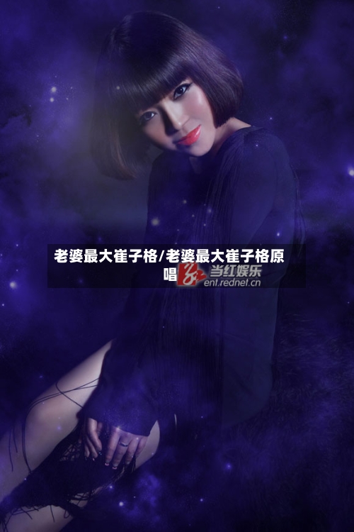 老婆最大崔子格/老婆最大崔子格原唱-第2张图片