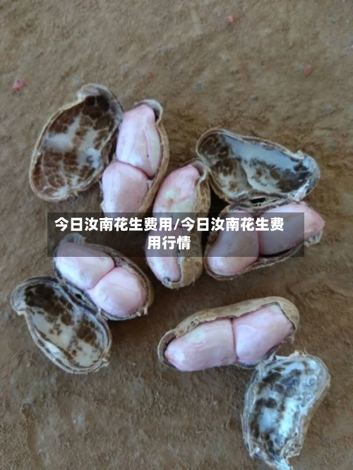 今日汝南花生费用/今日汝南花生费用行情-第1张图片