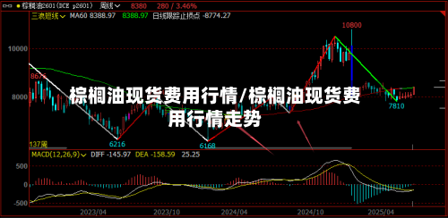 棕榈油现货费用行情/棕榈油现货费用行情走势-第3张图片