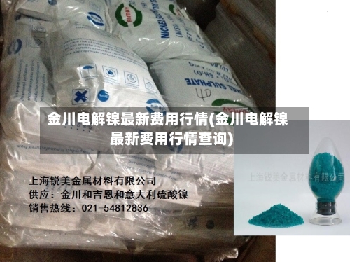 金川电解镍最新费用行情(金川电解镍最新费用行情查询)-第1张图片
