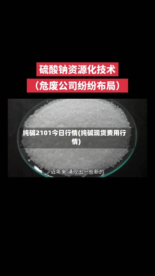 纯碱2101今日行情(纯碱现货费用行情)-第1张图片