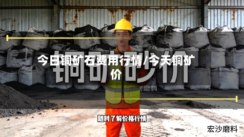 今日铜矿石费用行情/今天铜矿价-第1张图片